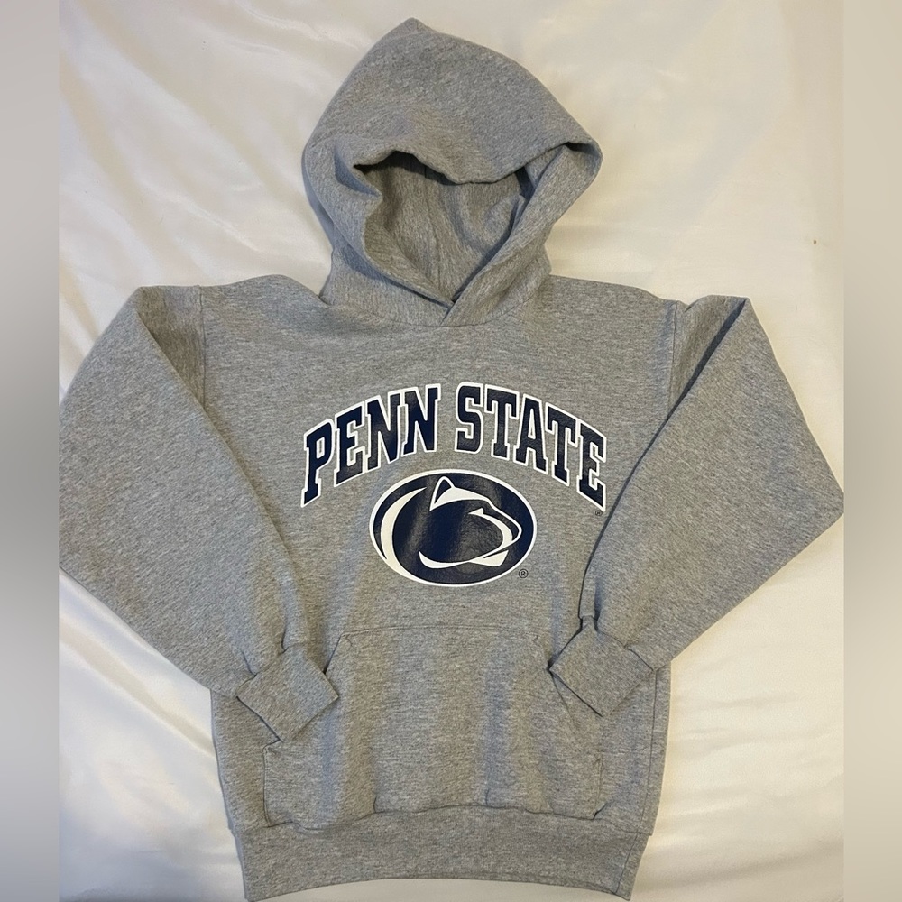 Penn State Hoodie grey